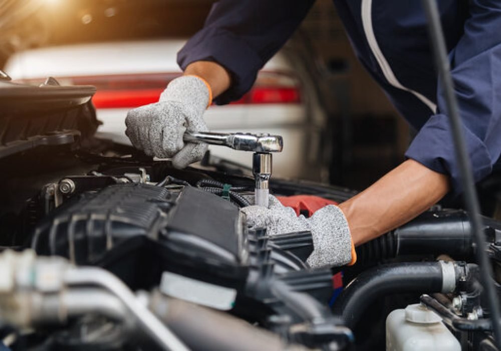 360_F_431285978_24P5iotxkLAd4ekRXySnn6DEP4iDgLqZ